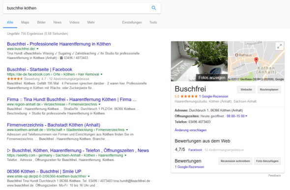 Buschfrei Köthen bei Google