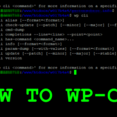 How to WP-CLI