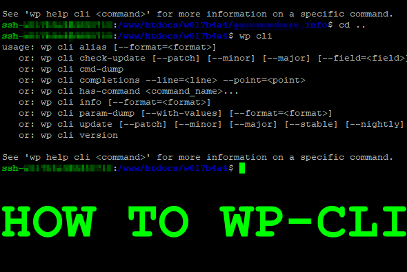 How to WP-CLI